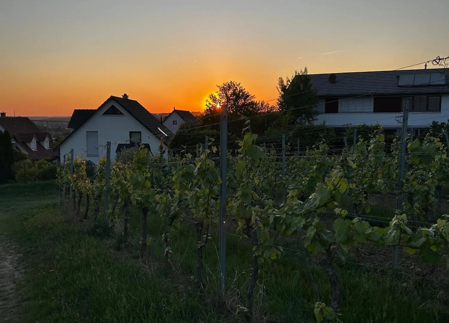 Charmante Ferienwohnung - Studio - An Der Obernbreiter Kanzel - 50 M Bis Zu Den Weinbergen 0*, Obernbreit Tyskland